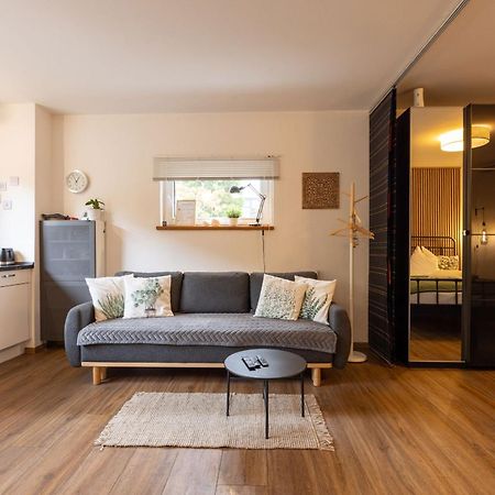 Ideal Fuer Kurze Aufenthalte - Gemuetliches 1-Zimmer-Apartment Adelsdorf Ngoại thất bức ảnh
